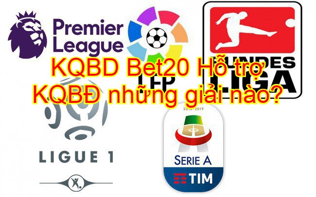kqbd bet20 ho tro nhung gia bong da nao