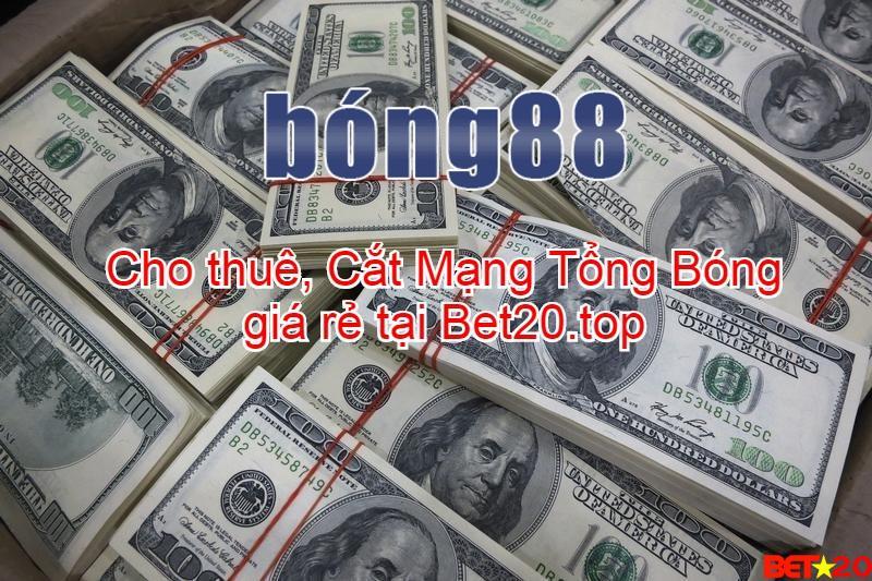 cho thue cat mạng tổng bóng giá rẻ tại bet20