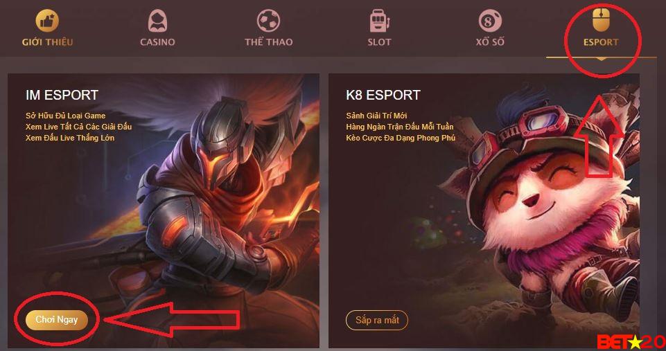 hướng dẫn chơi dota 2 trên nhà cái k8