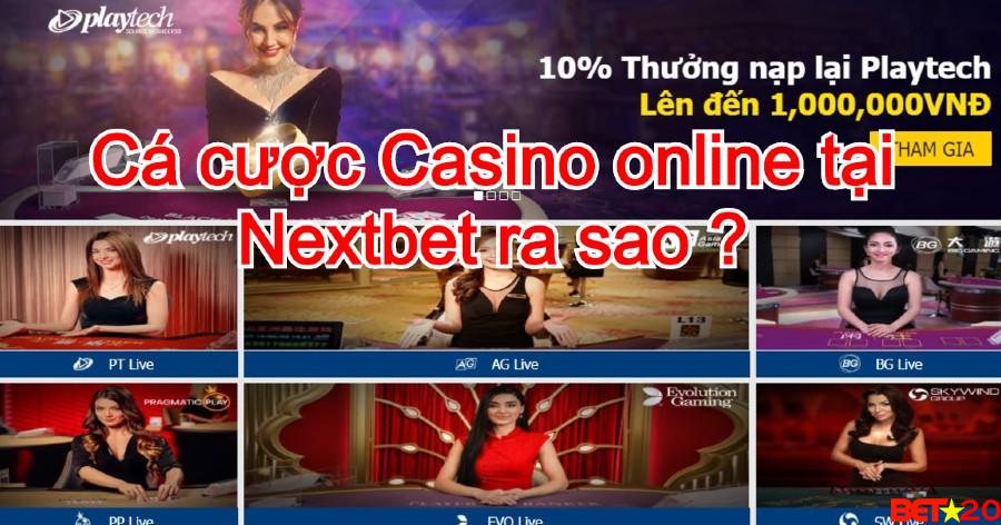 cá cược casino trực tuyến tại nextbet ra sao