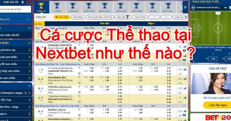 cá cược thể thao tại nextbet như thế nào