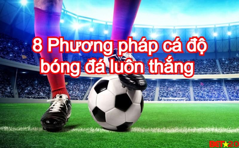 8 phương pháp cá độ bóng đá luôn thắng