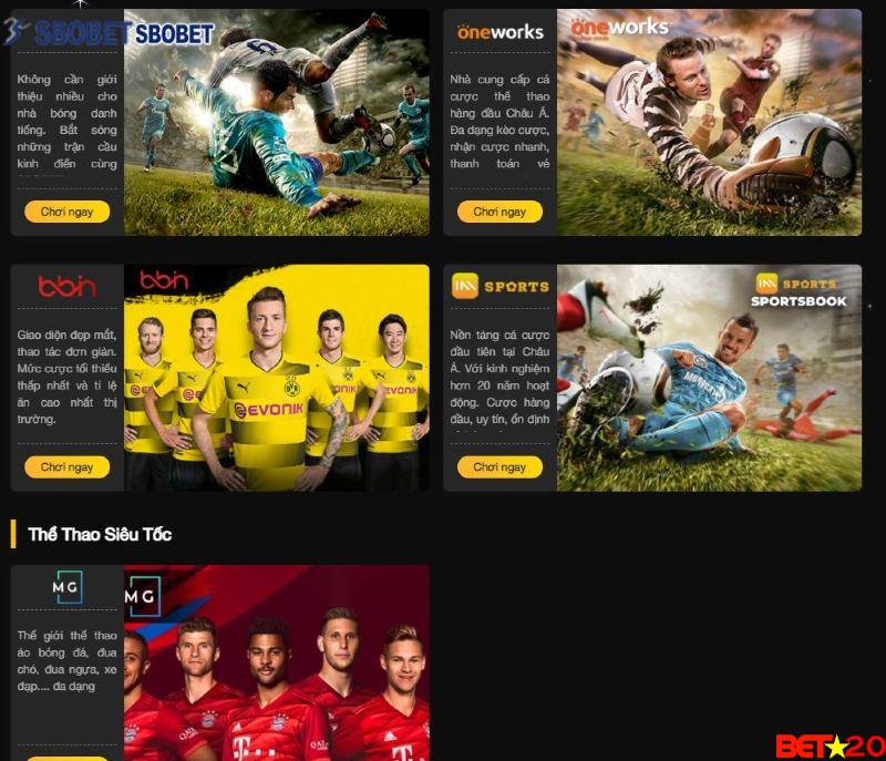 cá cược thể thao